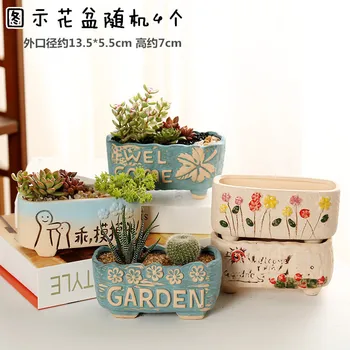 

Succulent Flowerpot Large Diameter Ceramic Meat Meat Plant Indoor Hand-Painted Simple Small Flower Pot