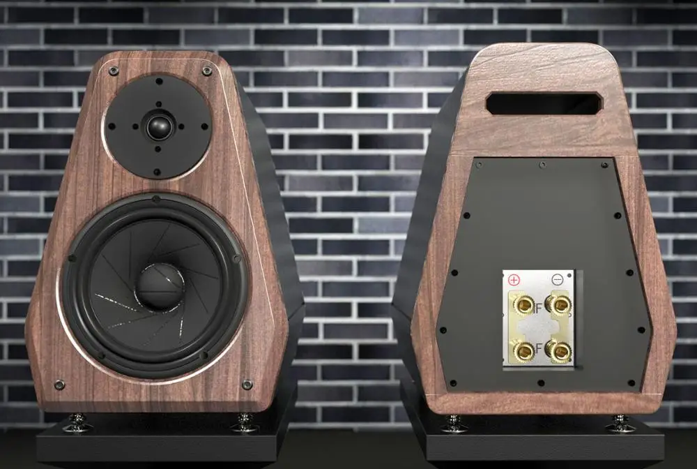 DC 162SS HiFi hi-end speaker 6.5-inch Bookshelf Speaker/Scan-Speaker 18W/8531G00+9900 Silk Film 3
