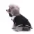 ГОРЯЧИЕ ПРОДАЖИ!!! Прекрасная Полоса Бантом Pet Dog Puppy Рубашка Смокинг Свадебный Костюм Одежда Наряд Оптовая Дропшиппинг Новое поступление