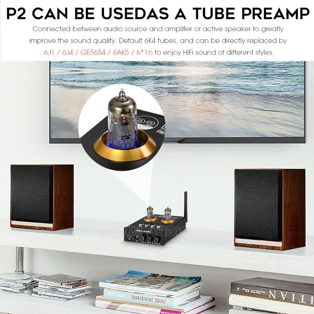 Douk Audio P2 HiFi Vacuum Tube Preamp Bluetooth 5.0 Receiver Stereo Headphone Amplifier USB Music Player