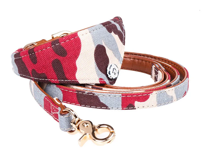 small dog leash