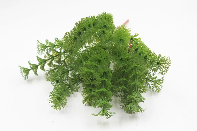 11929517182_1338463617