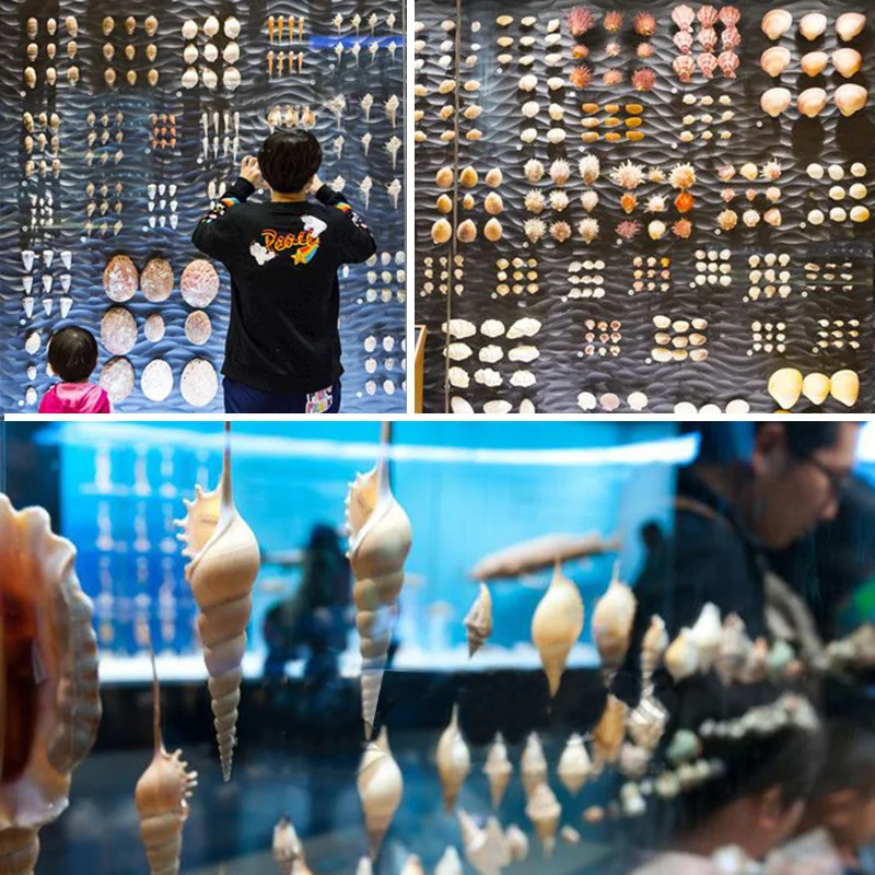 O1CN01cLNzzq25MXjGmz5Hq_!!37247512