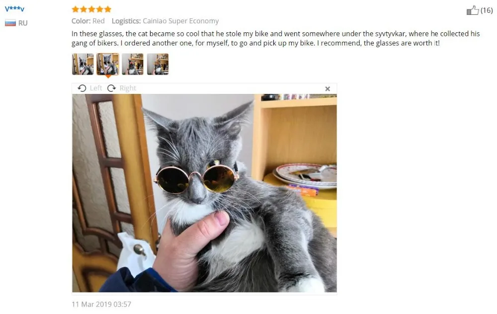 Товары для домашних животных для конкурсов красоты для маленьких собак и кошек очки для собак фото реквизит аксессуары для животных принадлежности игрушка для домашних животных очки «кошачий глаз» собачьи очки