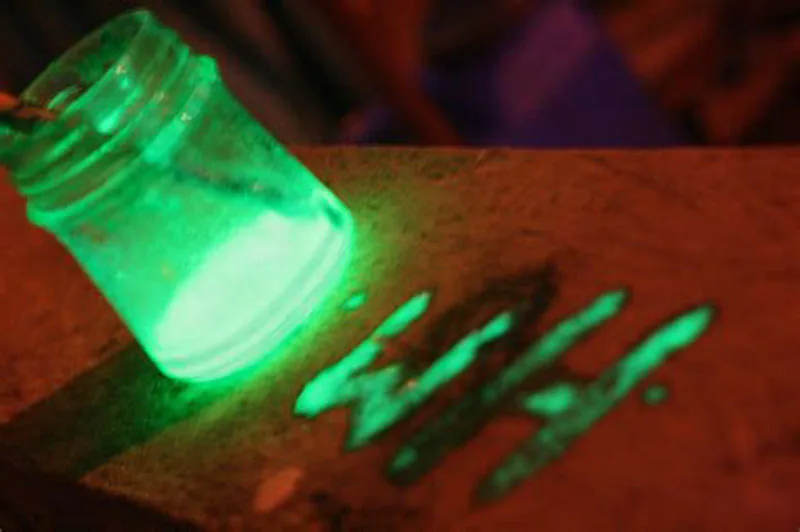 Nail Glitter 10g/bag Neon Phosphor Powder 12 Colors Rare Earths Dust Long-acting Phosphor Luminous Glow in the Dark
