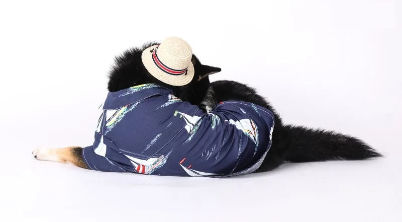 Husky big dogs clothes (16)