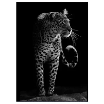 

Black white leopards 5D DIY Diamond Painting Kits Round Drill Diamond Animal decor Cross Stitch Embroidery Mosaic