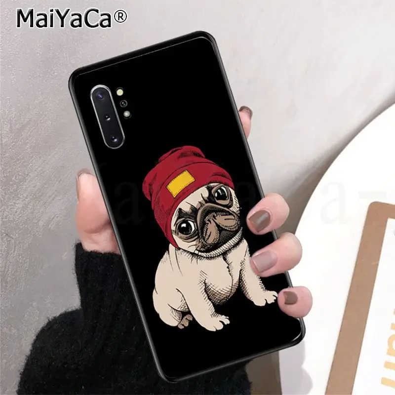 Frenchies Pretty puppy Pug Bulldog