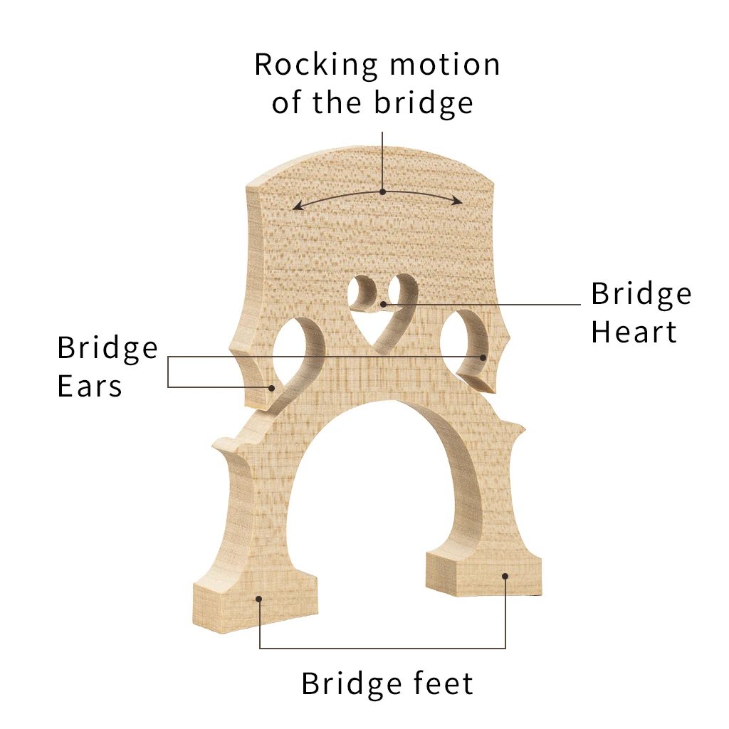 Elementary Maple Cello Bridge Maple Bridge For Practice Use 4/4 3/4 1/2 1/4 1/8 Cello