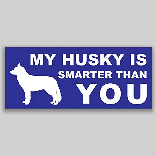 Для My Husky умнее, чем вы виниловая наклейка стикер для окна автомобиля бампер 2-Pack качество УФ-защита