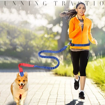 

Running elastic retractable traction rope pet traction rope anti-loose design outdoor sports equipment pet equipment colorful