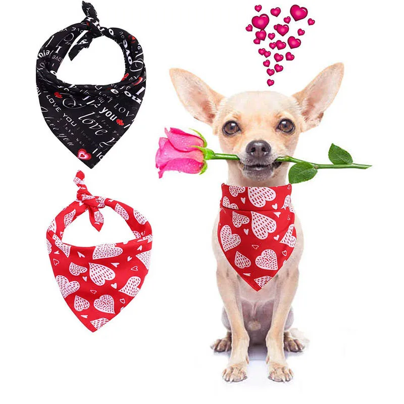 dog valentine outfit
