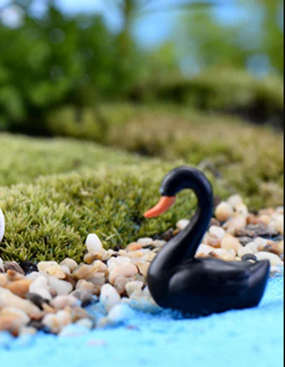 HTB1bY6_XwmH3KVjSZKzq6z2OXXaf