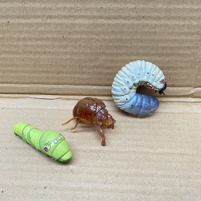 Figura de acción de la serie de insectos, juguete de simulación de Larva,  Cicada dorada, oruga, adorno, regalo para niños - AliExpress