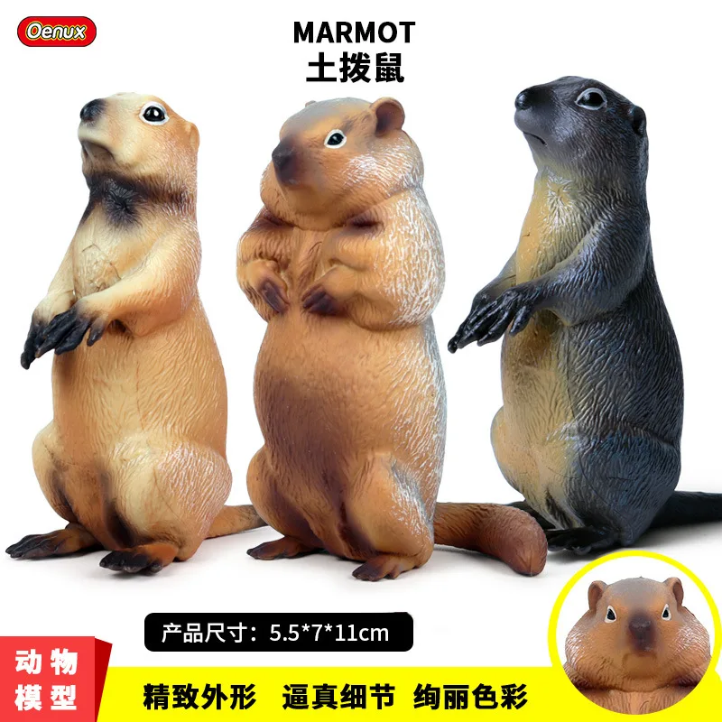 Детская однотонная модель диких животных, мир игрушек, мышь, чипманк, мармо, белка, пластиковая модель, украшения
