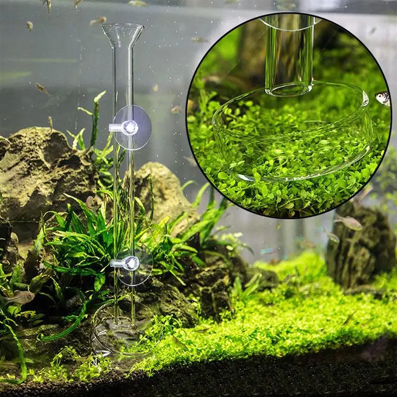 Shrimp Feeding Dish Acrylic Shrimp Food Feeder with 6cm Dish Bowl for