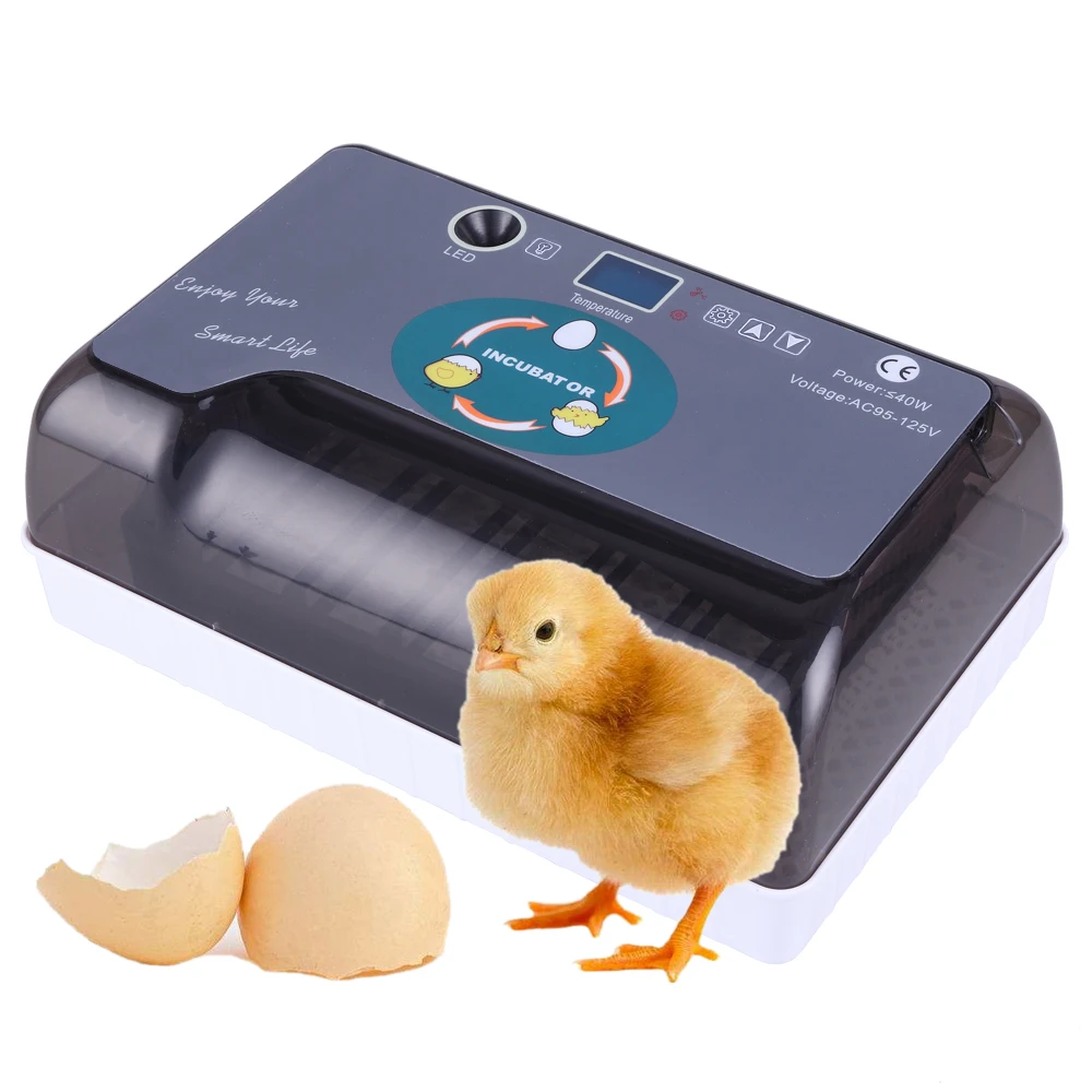 

12-Egg Poultry Incubator Fully Automatic Set Adjustable Tray US Plug Multi-Function for Chicken Duck Goose Birds Etc[US-Stock]