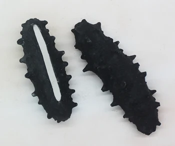 

Three-dimensional sea cucumber mold sugar art plate salt carving Liaoshen mold fondant silicone mold ice sculpture baking tool