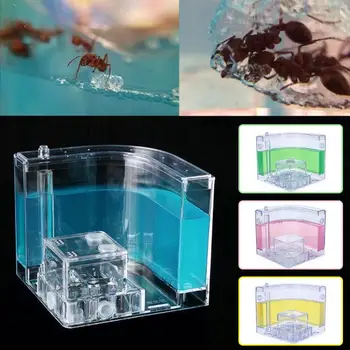 

Pet Toy Colorful Funny Ant Nest Ant Farm Ants House Specially Decoration Insect Transparent Art Habitat Kids Gift Villa