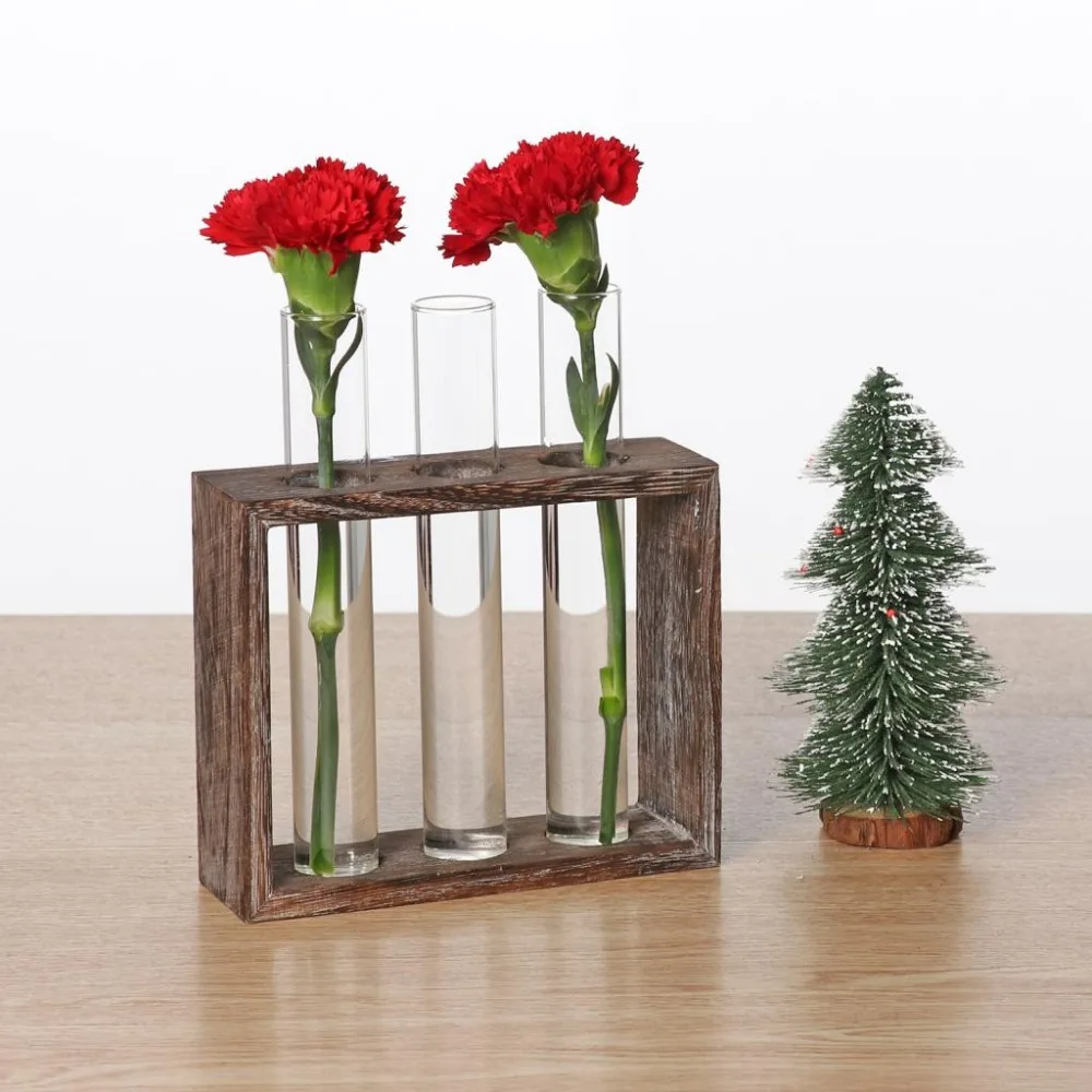 Water-Planting-Glass-Vase-Test-Tube-Planter-Modern-Flower-with-Retro-Solid-Wooden-Stand-Tabletop-for (3)