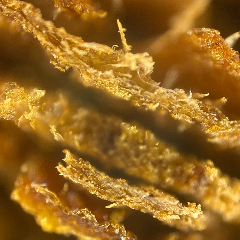 Ulanzi 400X Microscope Phone Lens Case Kit for iphone 11 Pro max Bulit-in Light Lens Kit Ulanzi 400X Microscope Phone Lens Case Kit for iphone 11 Pro max Bulit-in Light Lens Kit