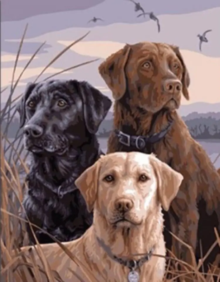 360截图20200817220152773