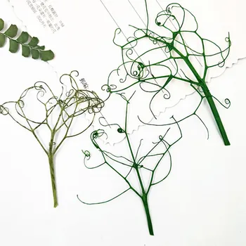 

Christmas Card Preserving Pressed Flowers , Rock Fern DIY Dried Flowers And Leaves 80Pcs