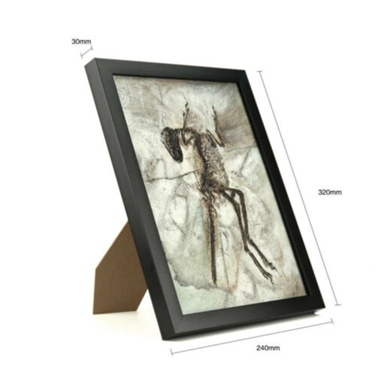 Zhenyuanlong Suni Microraptor Gui archioptery Sinosauropteryx Fossil модель динозавра коллектор домашний декор фоторамка