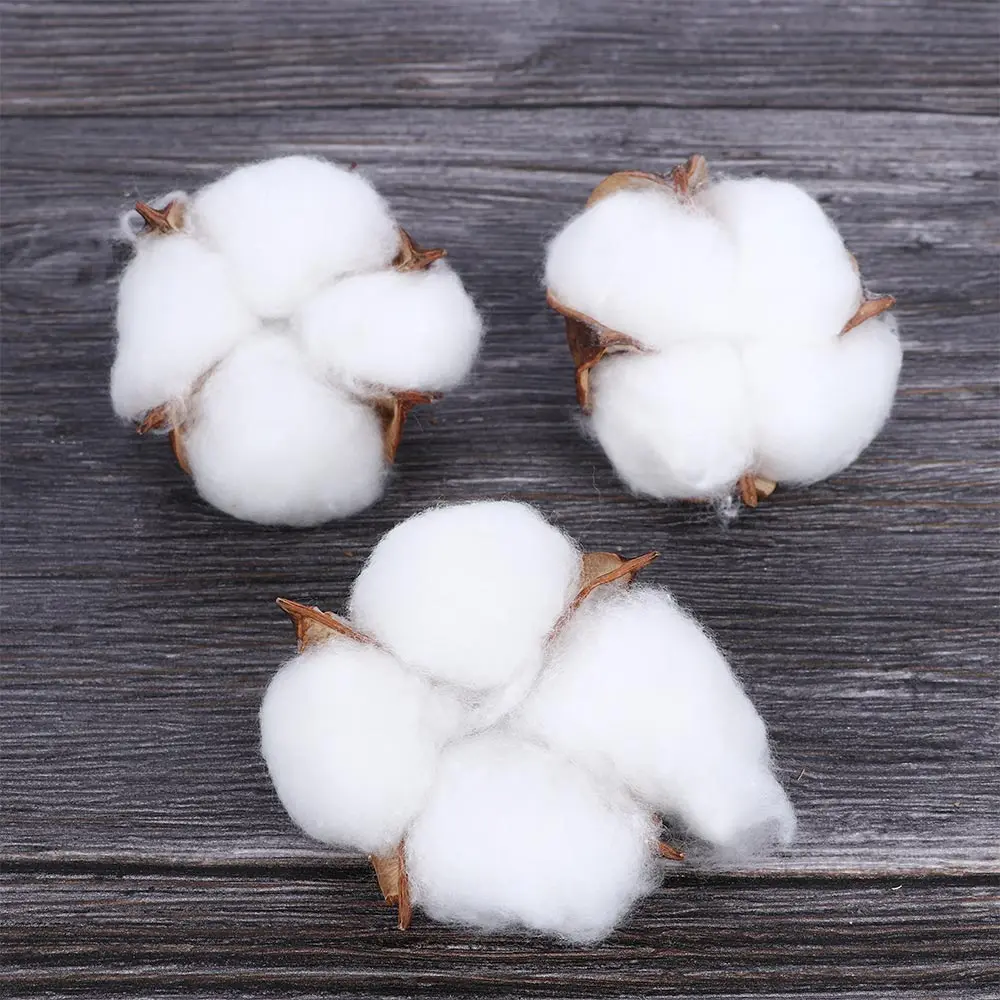 

10 Pcs artificial dried flower Cotton Head single branch simulation flower DIY wedding decoration for home party wall Decor