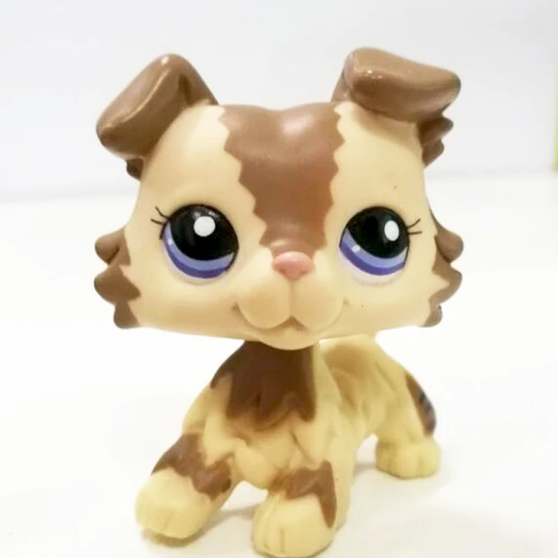 

rare dog old real Collie #2210 littlest Cream Tan Brown doga with blue eyes child Xmas gift