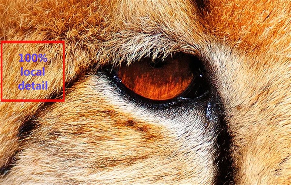 d46c2ee38878100c7b7373c44edba5ab