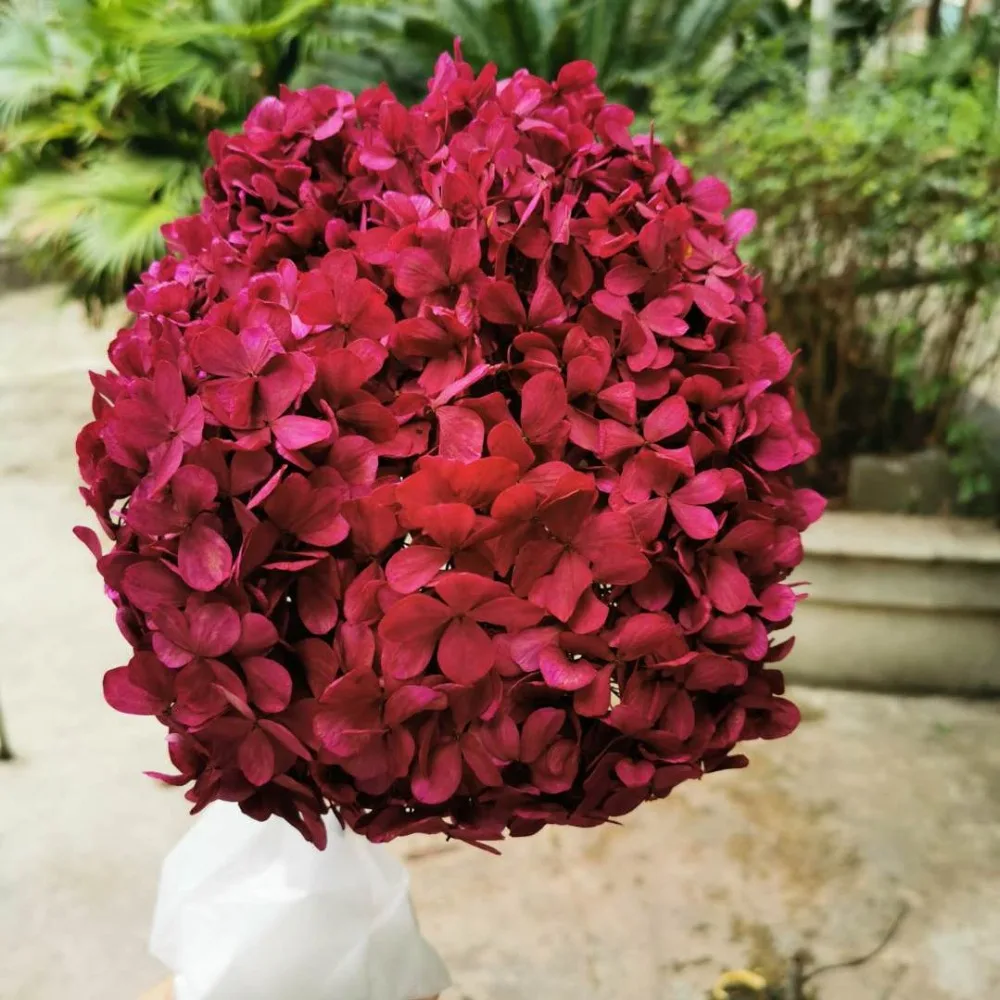 2110e5fab6f55d71cadcb43840e2853