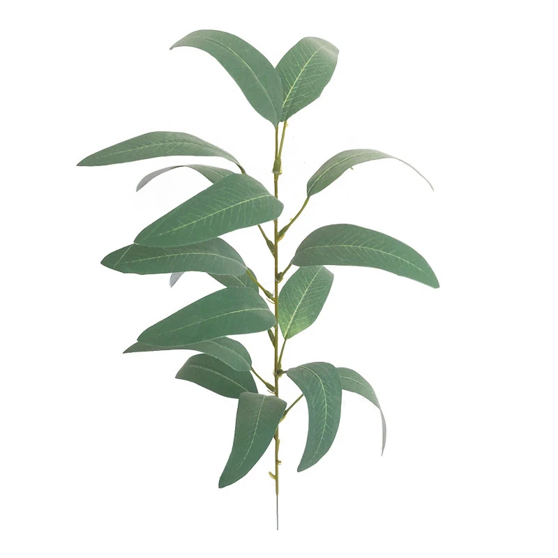 12000714996_1493019570