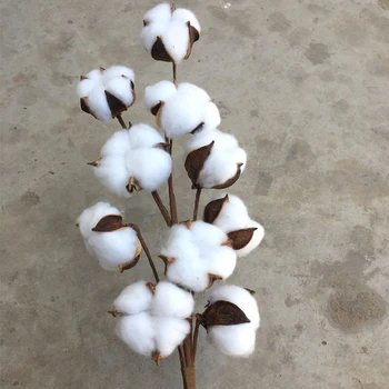 

1Pcs Dried Flowers 10 Head 52cm Cotton Stem Floral Branches Artificial Floral Decoration