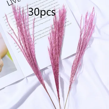 

30pcs Dried Flowers Pampas Grass Wedding Decoration Natural Dry Flower Bouquet Artificial Plants Home Decoration Hot