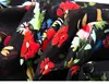 Ladies Silk & Viscose Blend Small Daisy Floral Printed Long Sleeve Lapel Blouse Shirt 5