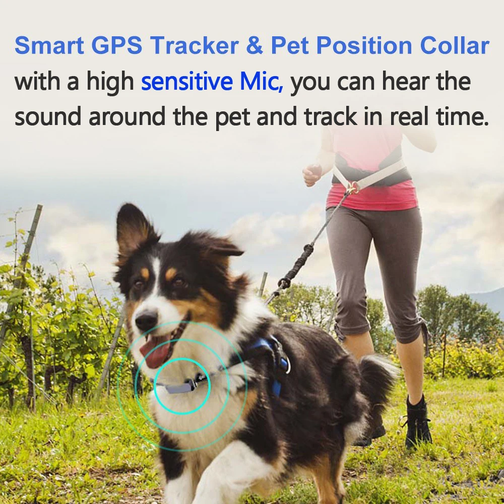2019 New GPS Pet Tracker Device 2G/3G/4G Smart Mini GPS Locator Finder Collar for Dogs Shepherd Terrier Alaska Rottweiler Beagle