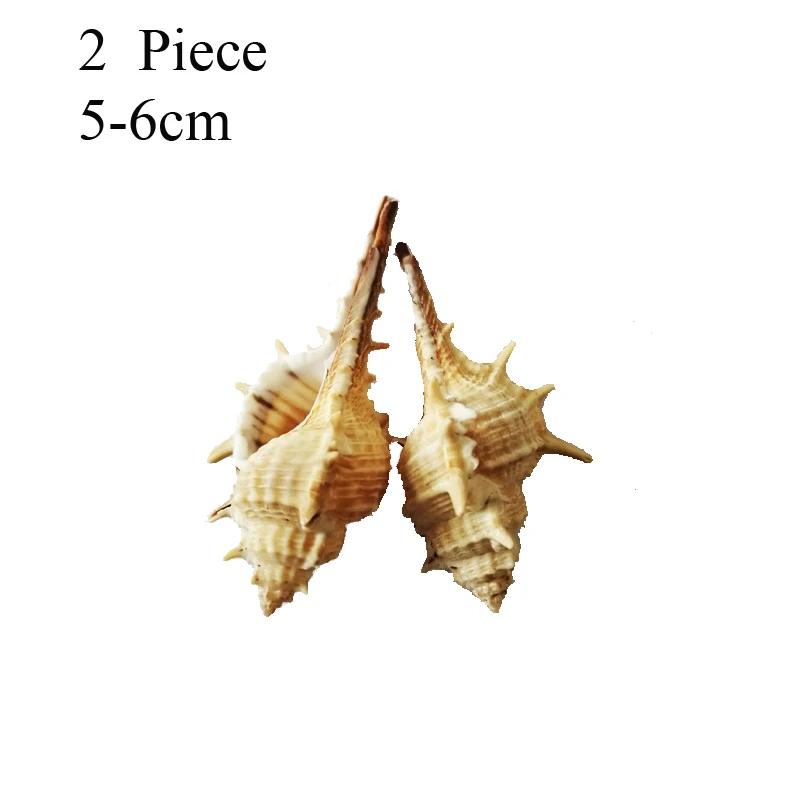 50 г маленькие морские раковины смешанные морские пляжные ракушки-натуральные красочные Морские Раковины Морская звезда идеально подходит для наполнителя вазы - Цвет: 8