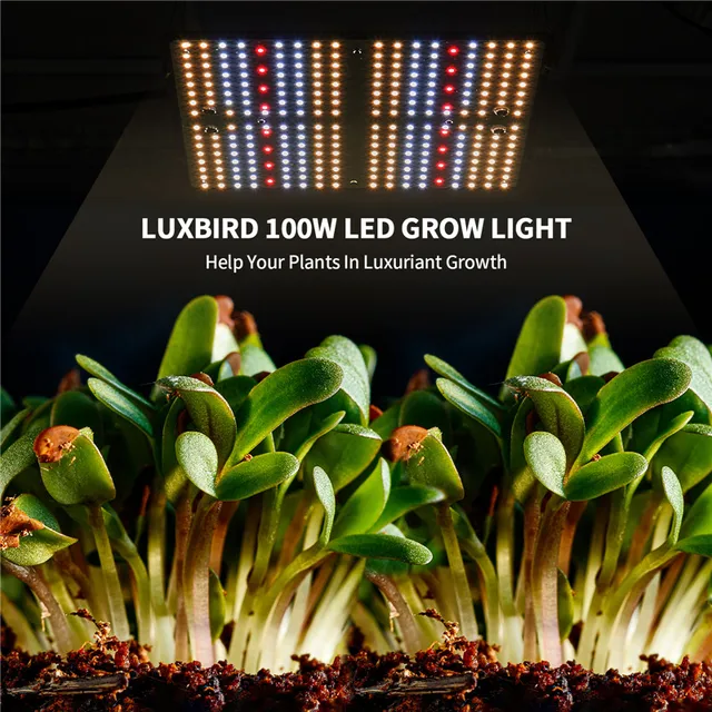 Luxbird Led Grow Light Lb1000 Us Plug 100W Teljes Spektrum Hőeloszlás Dimmable Növények Termesztési Lámpa 2,5X2,5 Láb Lefedettség Sátor - Image 6