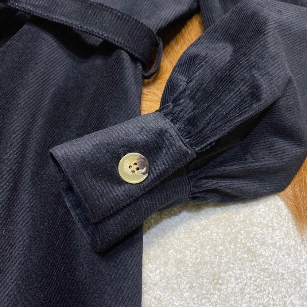 2019FW осень Новое Женское вельветовое платье женские винтажные платья с длинным рукавом ddxgz2 10,13