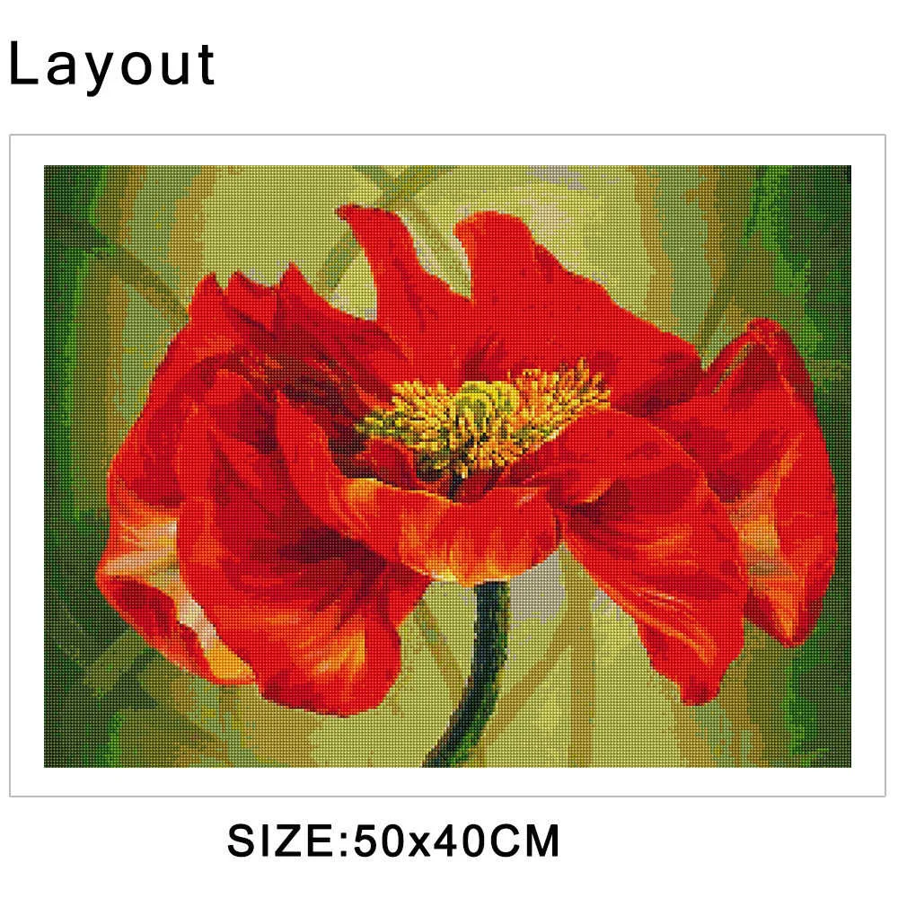 13 (4).jpg_.webp 13 (4).jpg_.webp