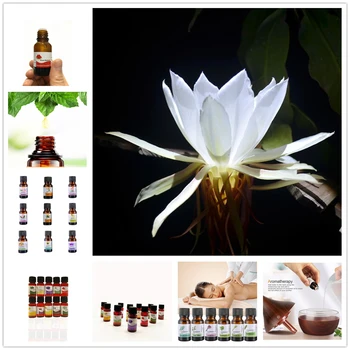 

Essential Oils 400mg Anthurium CBD Organic Essential Oil Natural Spa Oil Herbal Body Relieve Stress Skin Care Help Sleep 10ml