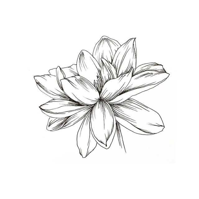 Transparent Stamp Sketch Flowers Clear Stamps Fairy Rubber Silicone Seal for DIY Scrapbooking Card Making Album Photo Decoration j