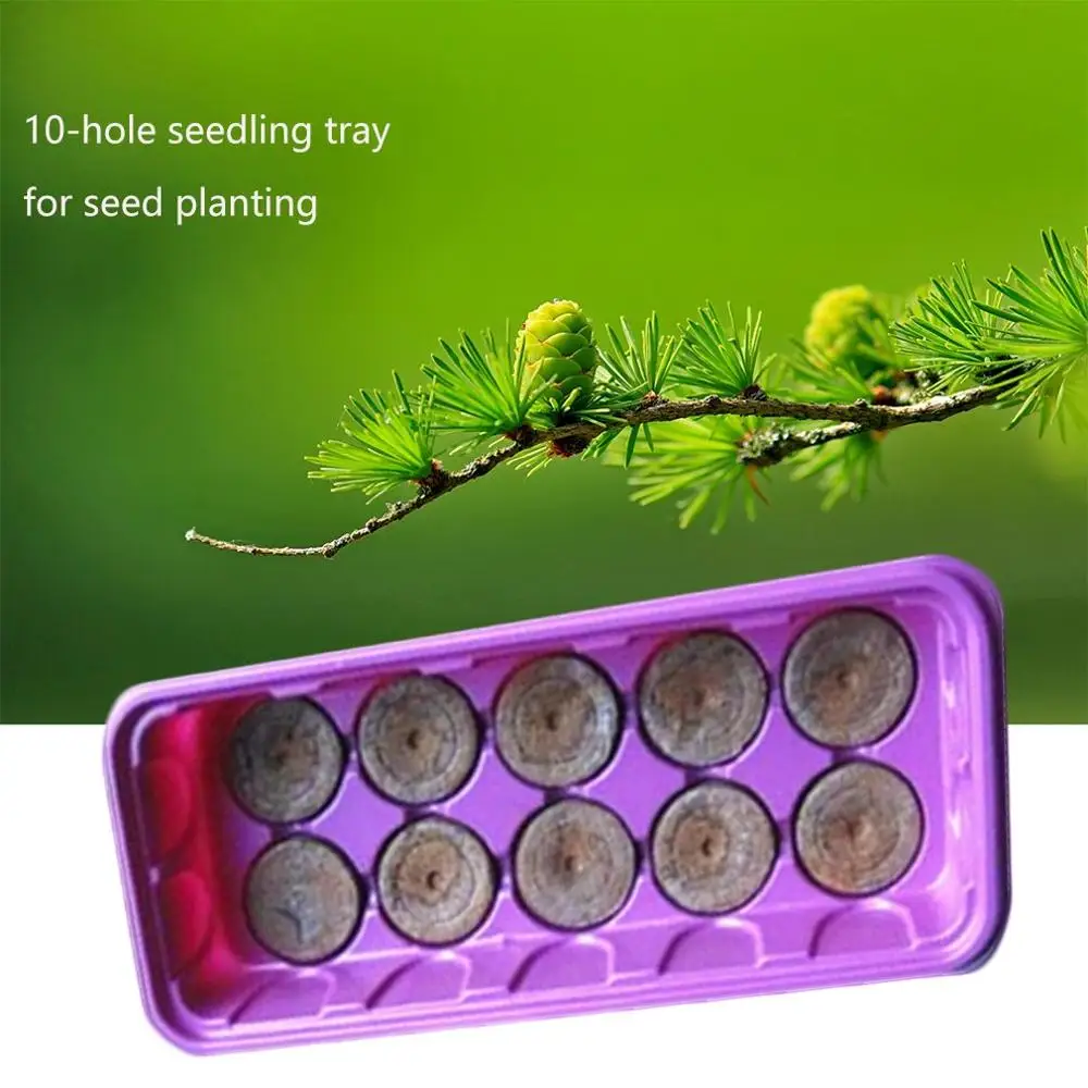 Seedling Box Seed Planting Special Seedling Tray 9/10/12/15 Hole Nursery Pot Household High Germination Rate