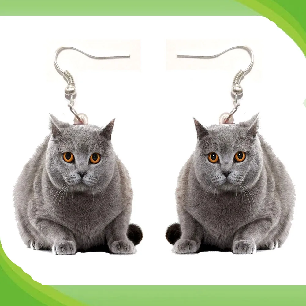 1 Pair British Shorthair Acrylic Earrings Stainless Steel Earring Jewelry Women Love Cat Pet Gift Fashion Antique Vintage Toy