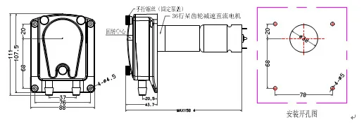 DC 12V 24V 304K перистальтический насос Малый стиль большой поток OEM перистальтический насос Пуск и остановка, вперед и назад дозирующий насос
