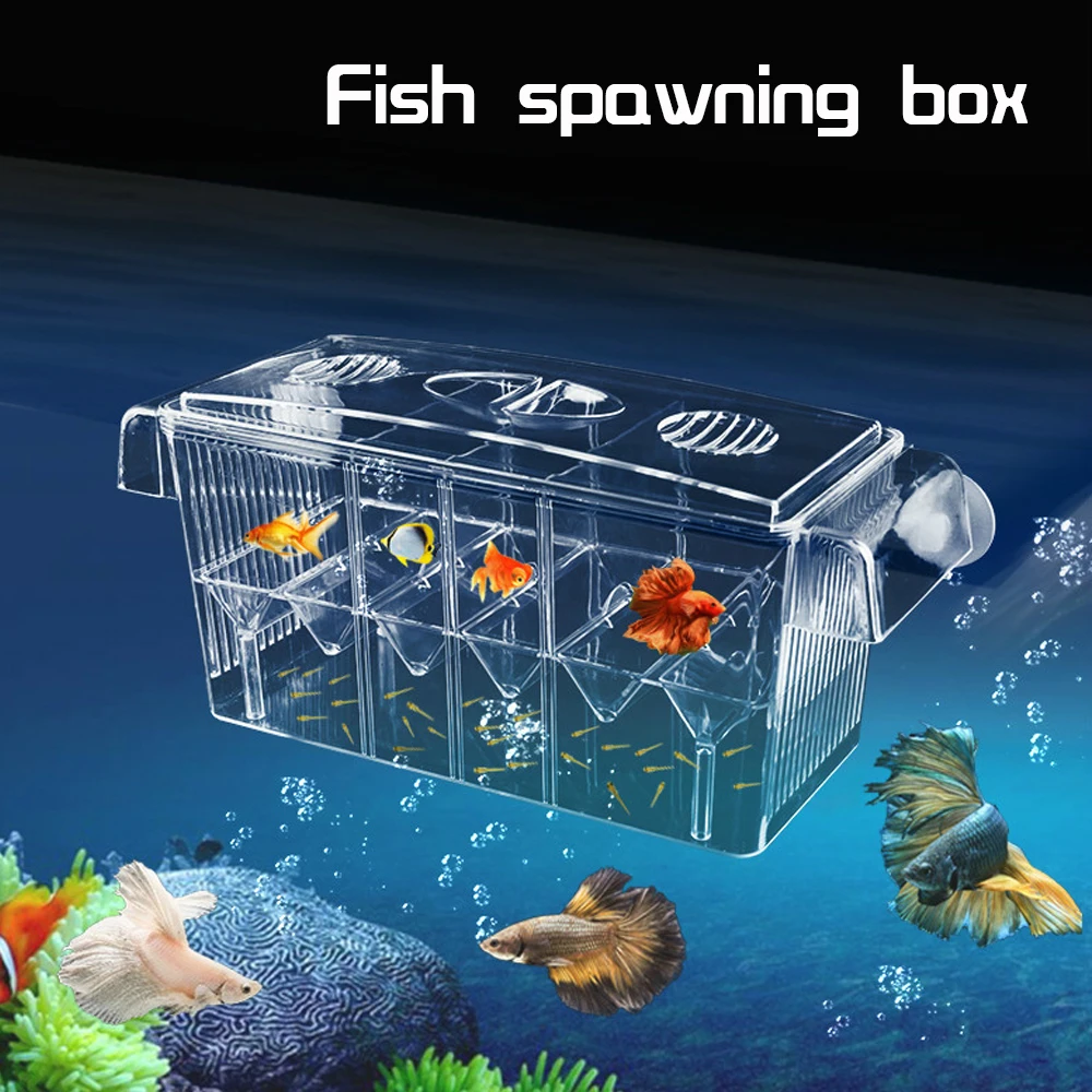 

4 Rooms High Clear Fish Breeding Box Acrylic Aquarium Breeder Box Double Guppies Hatching Incubator Isolation