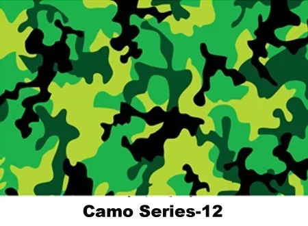 camo-12