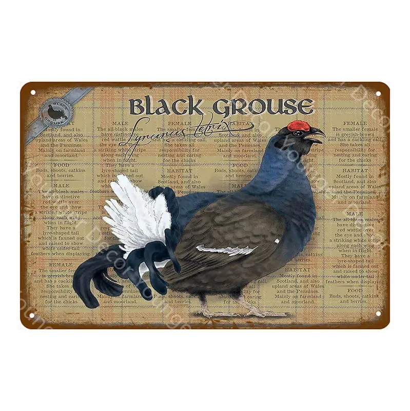 Fresh Eggs Black Grouse Metal Signs Beef Cow Chicken Meat Collection Poster Vintage Wall Painting Craft Farm House Decor YI-164 - Цвет: YD7898BI