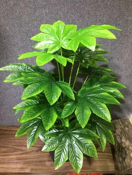 plantes , pour l'intérieur et l'extérieur